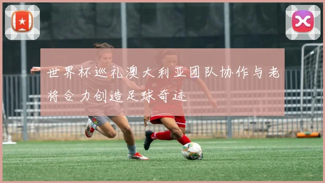 世界杯巡礼澳大利亚团队协作与老将合力创造足球奇迹